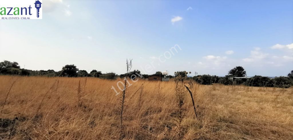 1 Donum Land For Sale in Karsiyaka