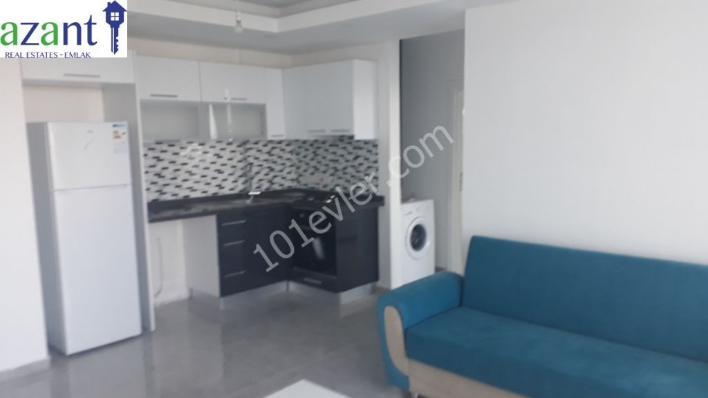 FOR RENT, BRAND NEW 1 BEDROOM APARTMENT, WITH PRIVATE GARDEN AREA.