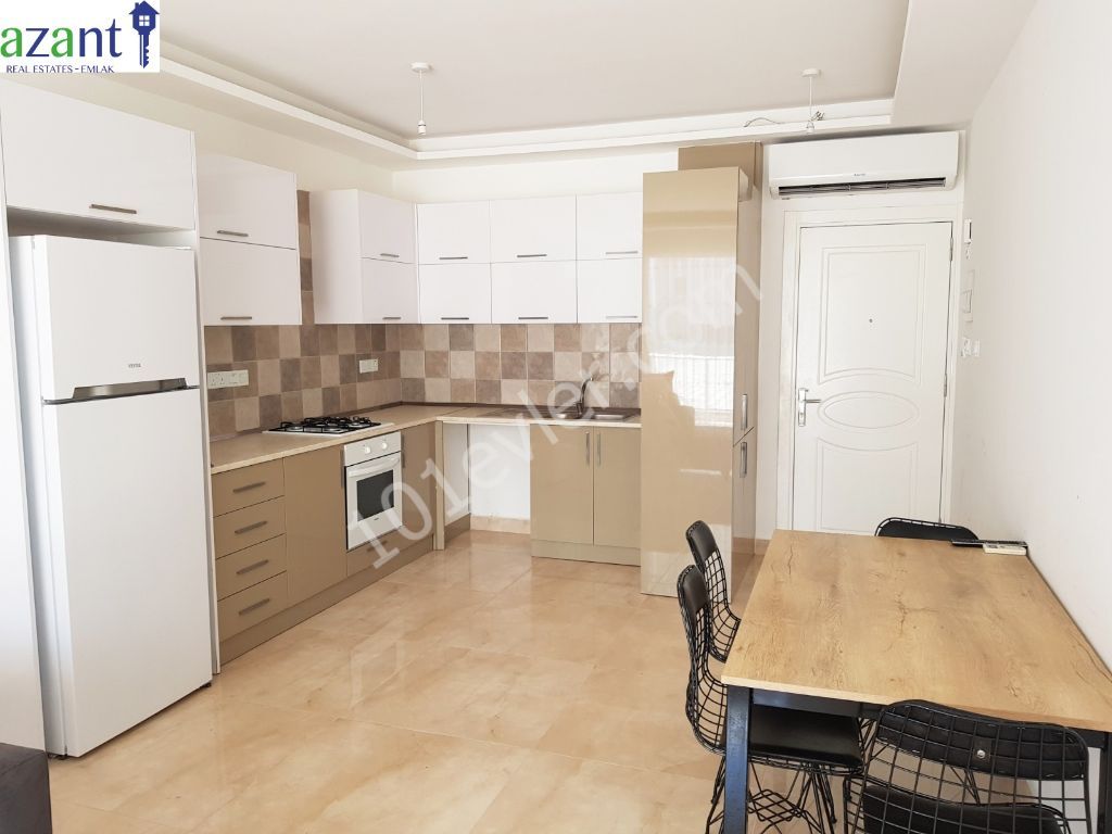 BEAUTIFUL 2 BEDROOM APARTMENT IN LAPTA