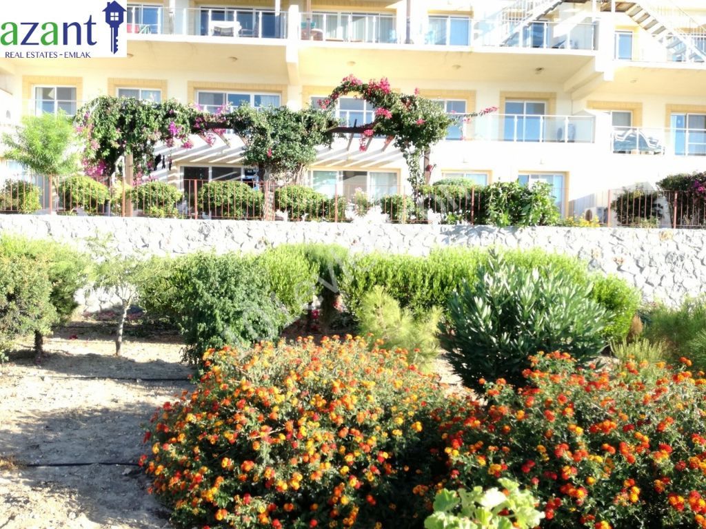 BEAUTIFUL, 3 BEDROOM, GROUND FLOOR APARTMENT, ON A WELL MAINTAINED AND SECURE SITE IN TATLISU.