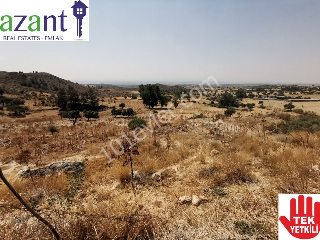 Large Plot of Land With Lefkosa Views in Taskent