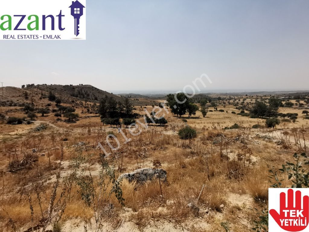 Large Plot of Land With Lefkosa Views in Taskent