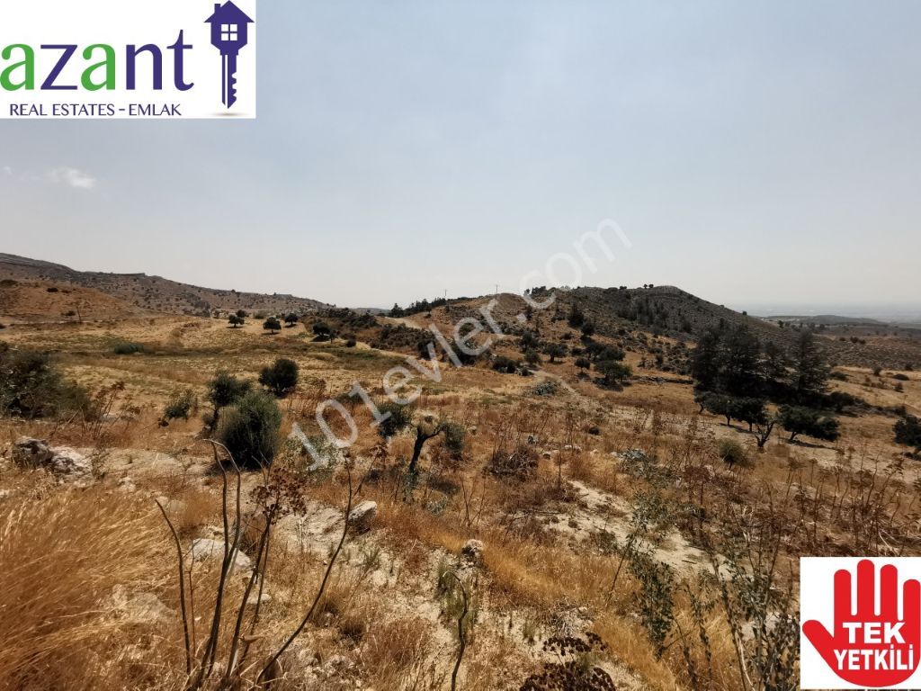 Large Plot of Land With Lefkosa Views in Taskent