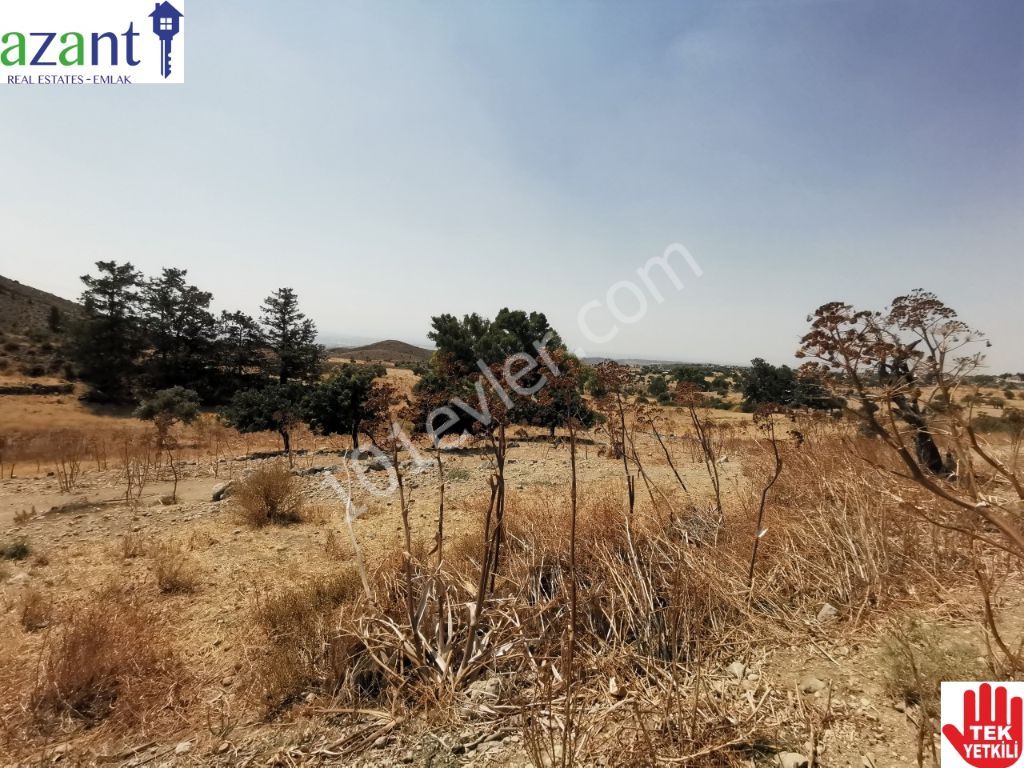 Large Plot of Land With Lefkosa Views in Taskent