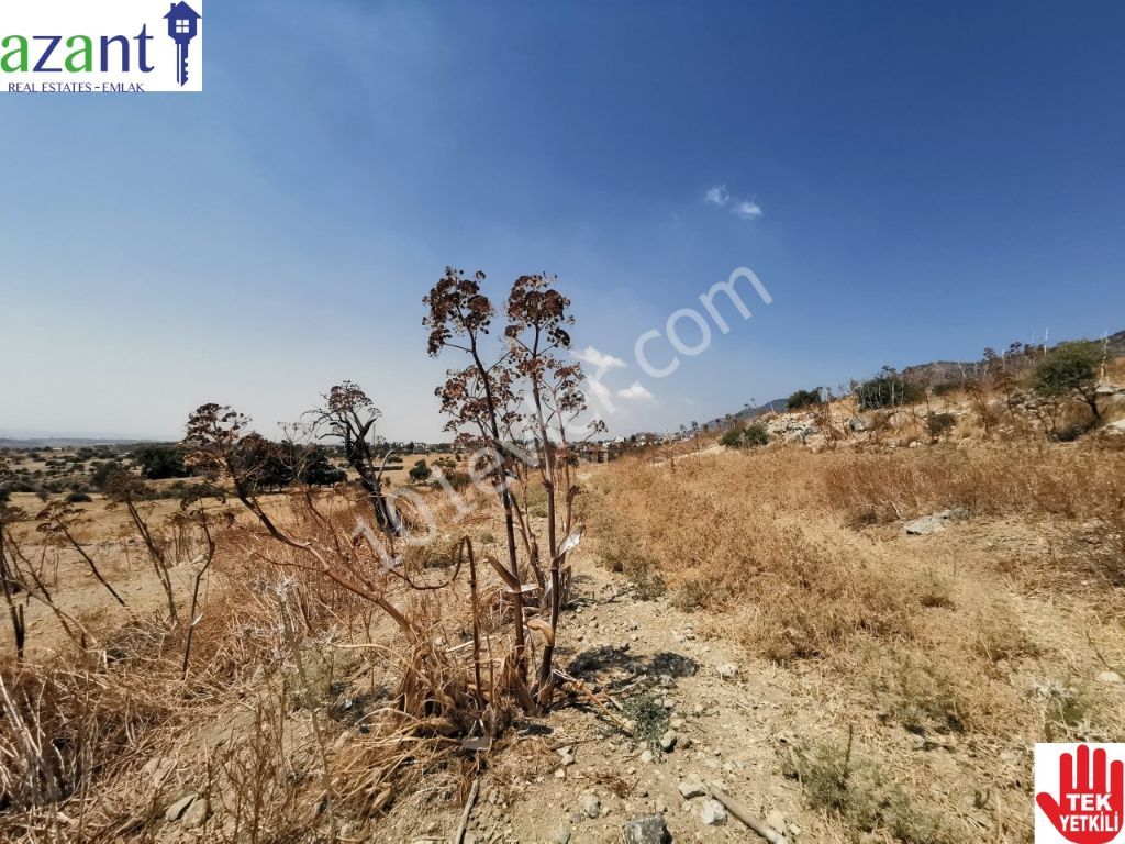 Large Plot of Land With Lefkosa Views in Taskent