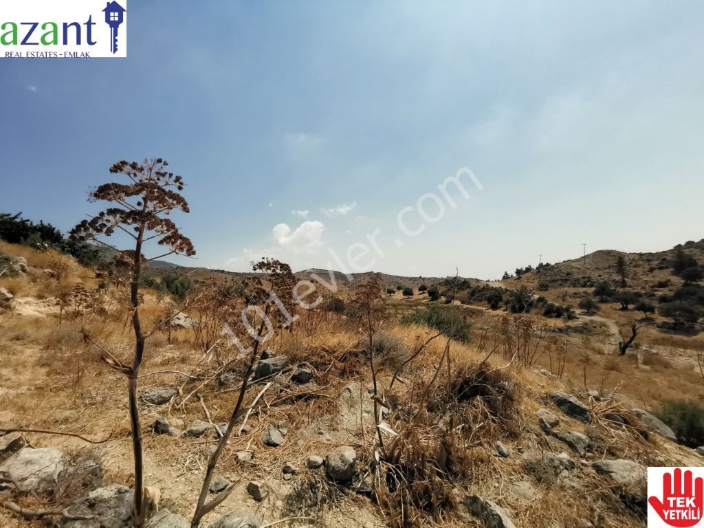 Large Plot of Land With Lefkosa Views in Taskent