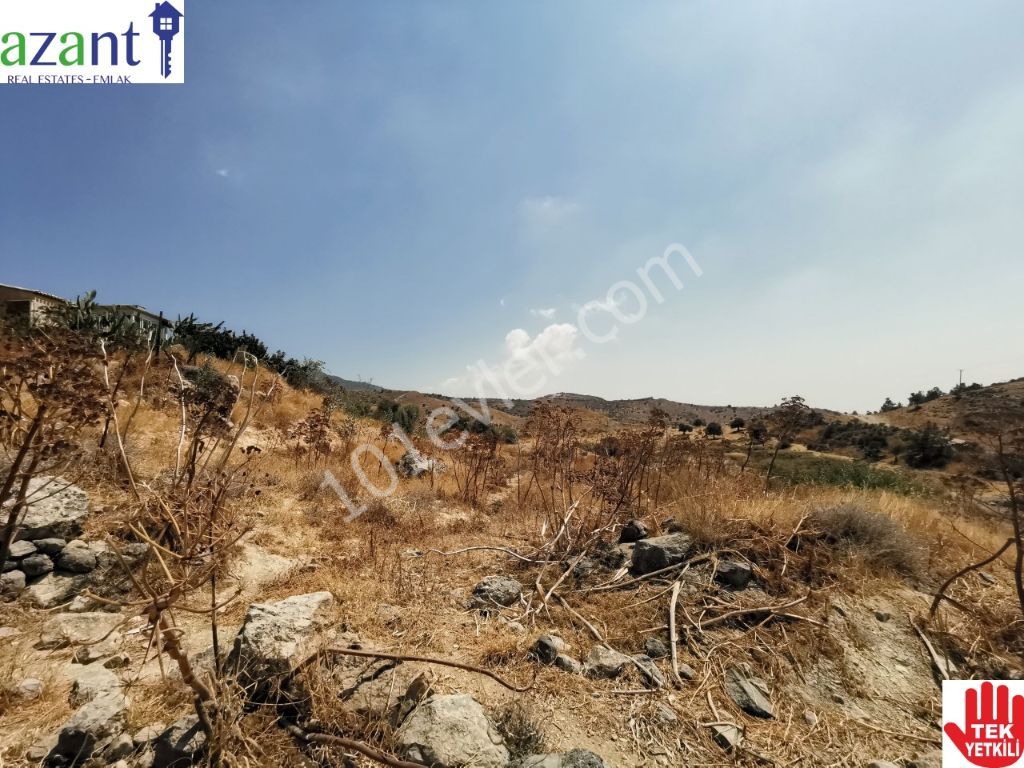 Large Plot of Land With Lefkosa Views in Taskent