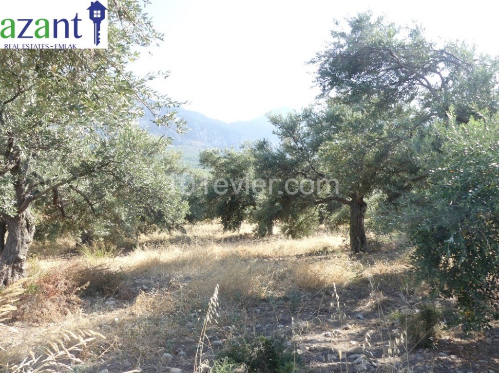 PLOT NEARLY 3 DONUM IN LAPTA WITH SEA AND MOUNTAIN VIEWS