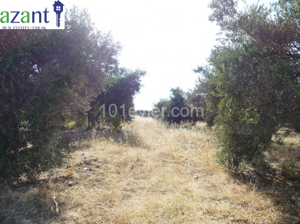 PLOT NEARLY 3 DONUM IN LAPTA WITH SEA AND MOUNTAIN VIEWS