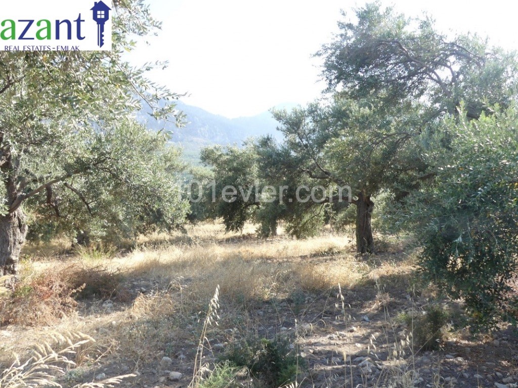 PLOT NEARLY 3 DONUM IN LAPTA WITH SEA AND MOUNTAIN VIEWS