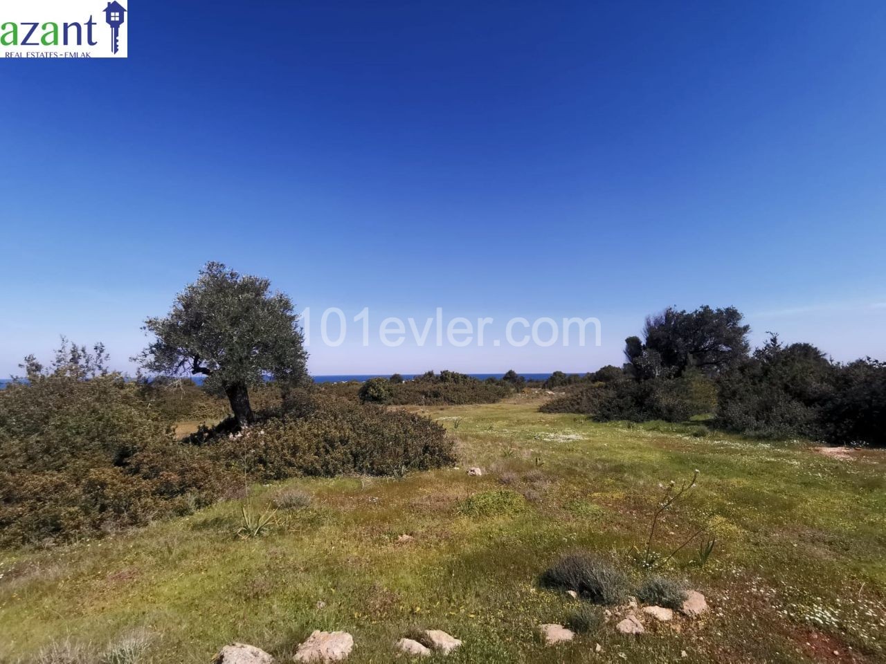 LAND WITH SEA VIEW IN ESENTEPE