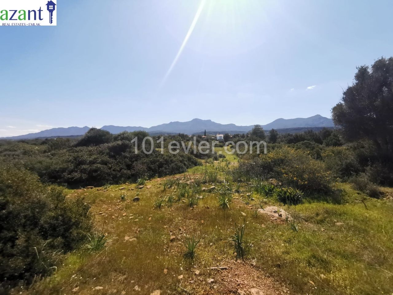 GRUNDSTÜCK MIT MEERBLICK IN KYRENIA ESENTEPE ** 