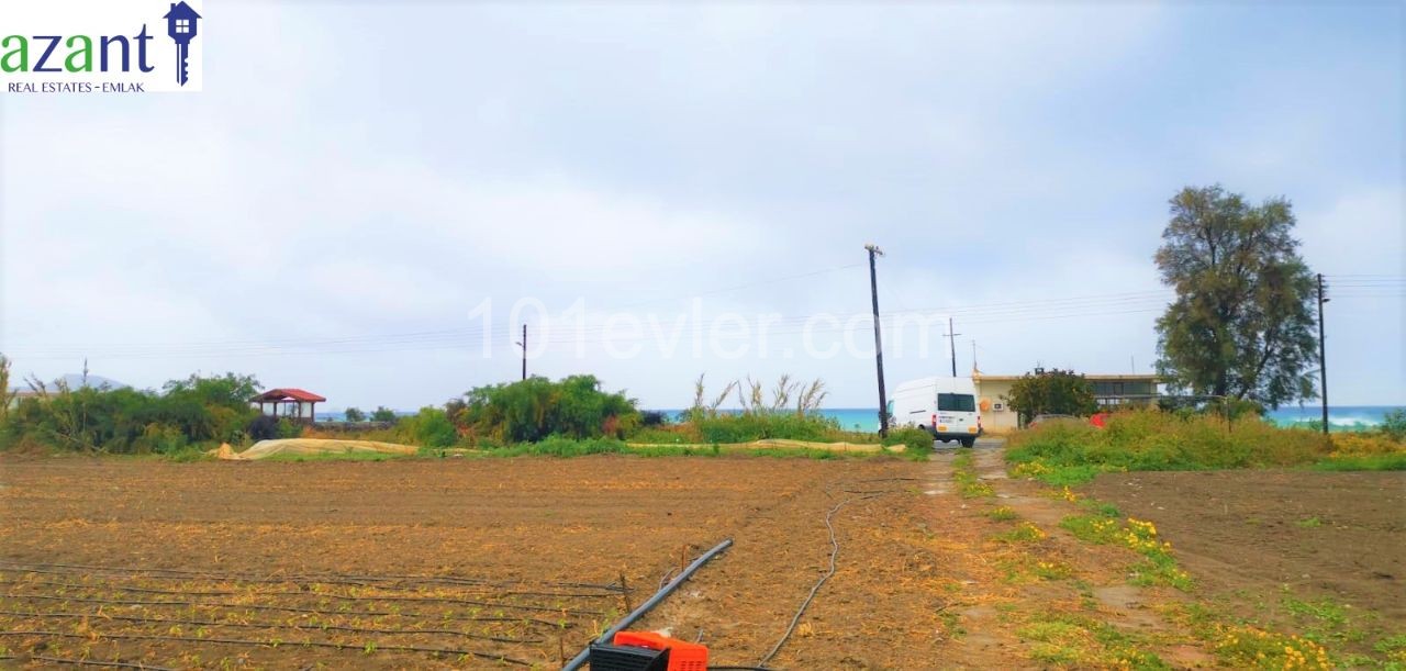 رشته برای فروش in Lefke, لفکه