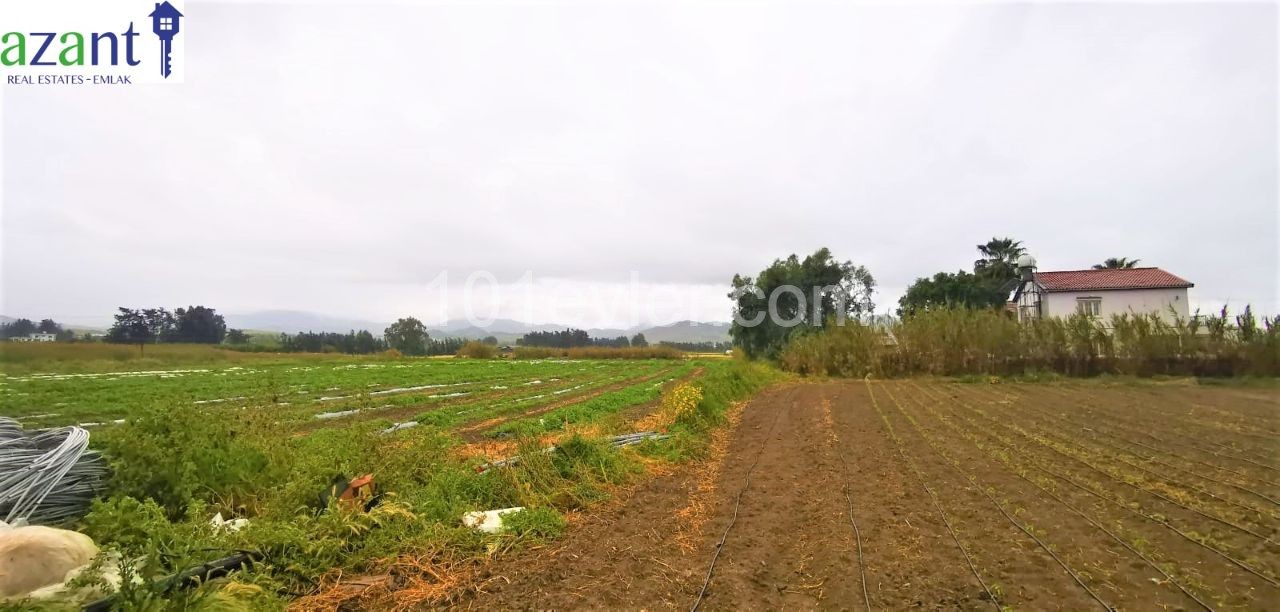 LAND WITH SEA VIEW IN CENGIZKOY