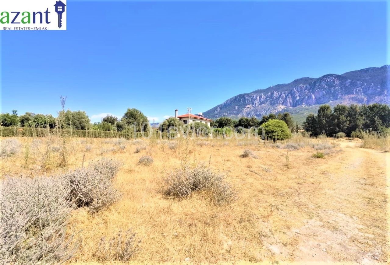 LAND WITH MOUNTAIN VIEW IN LAPTA