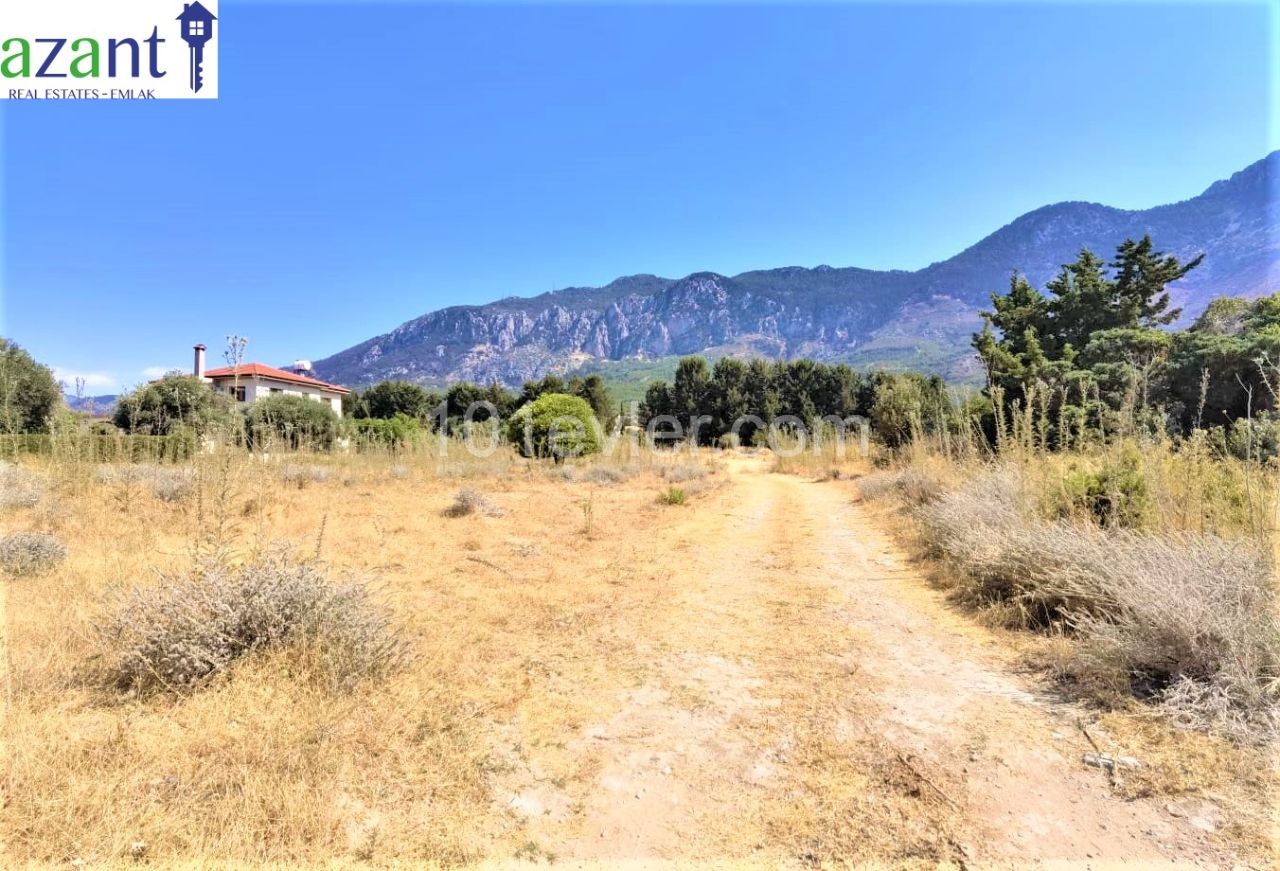 LAND WITH MOUNTAIN VIEW IN LAPTA