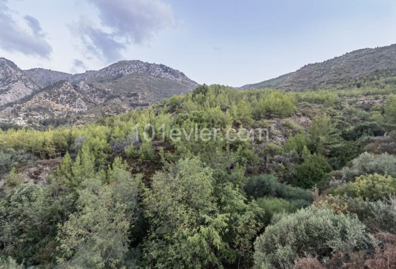 Unfertiges Gebäude Kaufen in Malatya, Kyrenia