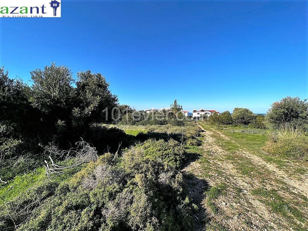 LAND 200 METRES FROM THE SEA 