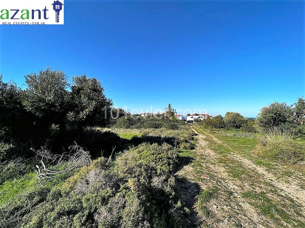 LAND 200 METRES FROM THE SEA 