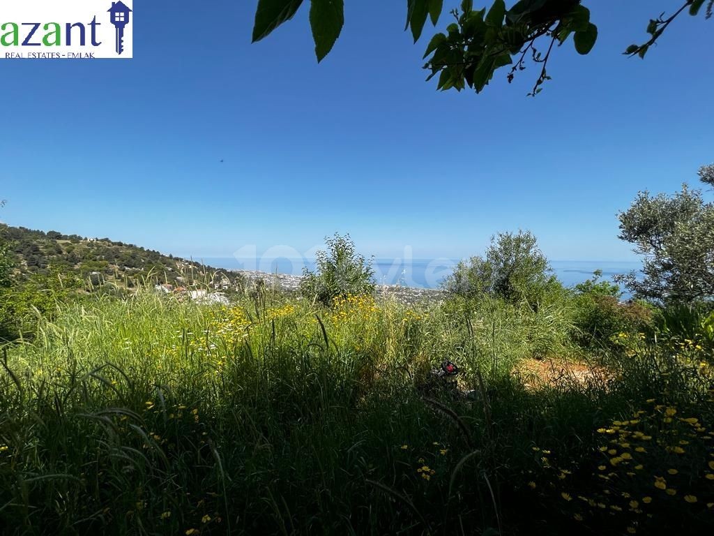 GREAT POTENTIAL PROJECT IN BAŞPINAR WITH 360 VIEW