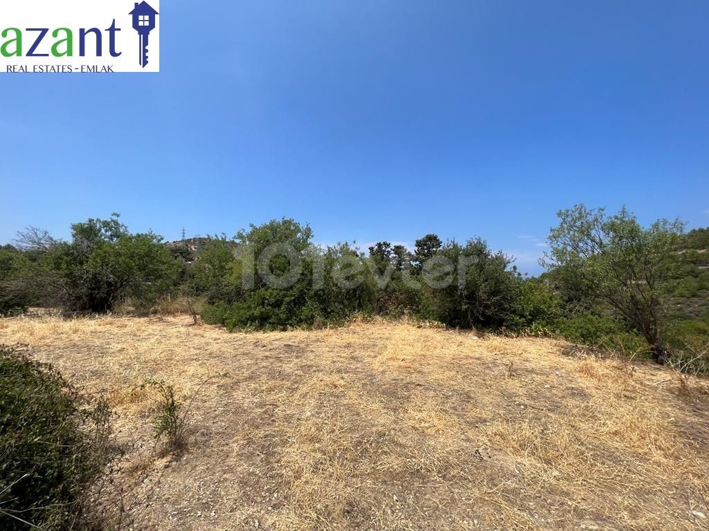 FOR SALE PLOT- MALATYA, KYRENİA, NORTH CYRUS