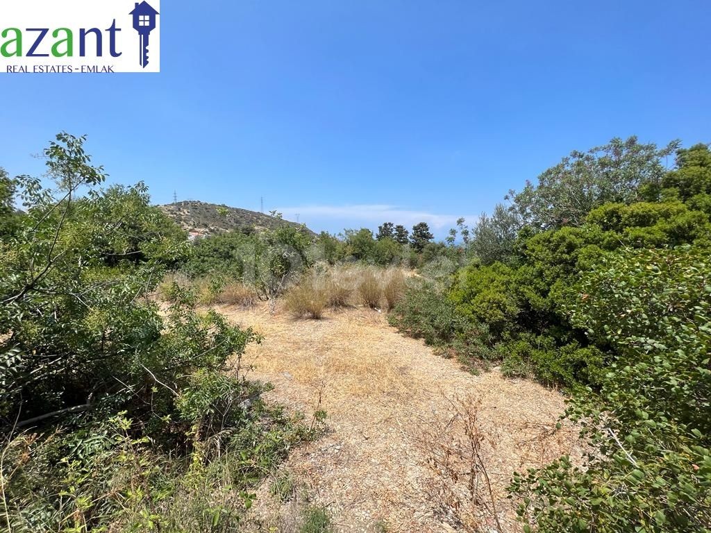 FOR SALE PLOT- MALATYA, KYRENİA, NORTH CYRUS