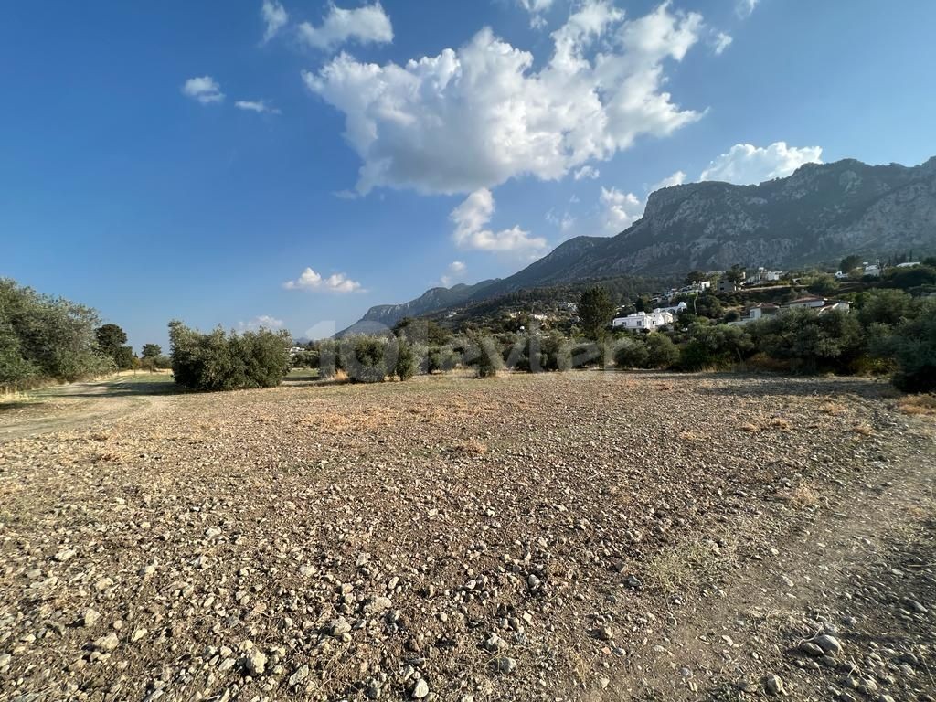 LAND FOR SALE IN KARIYAKA