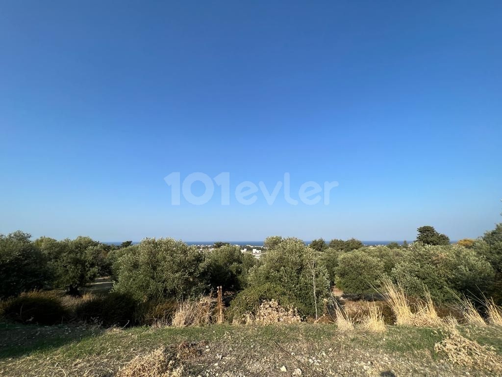 LAND FOR SALE IN KARIYAKA