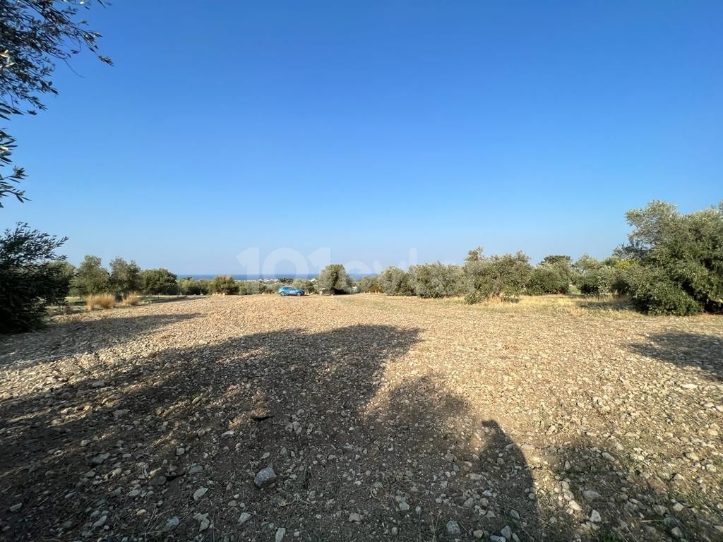 LAND FOR SALE IN KARIYAKA