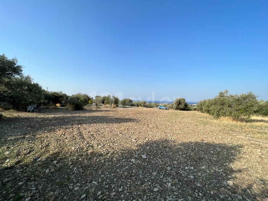 LAND FOR SALE IN KARIYAKA