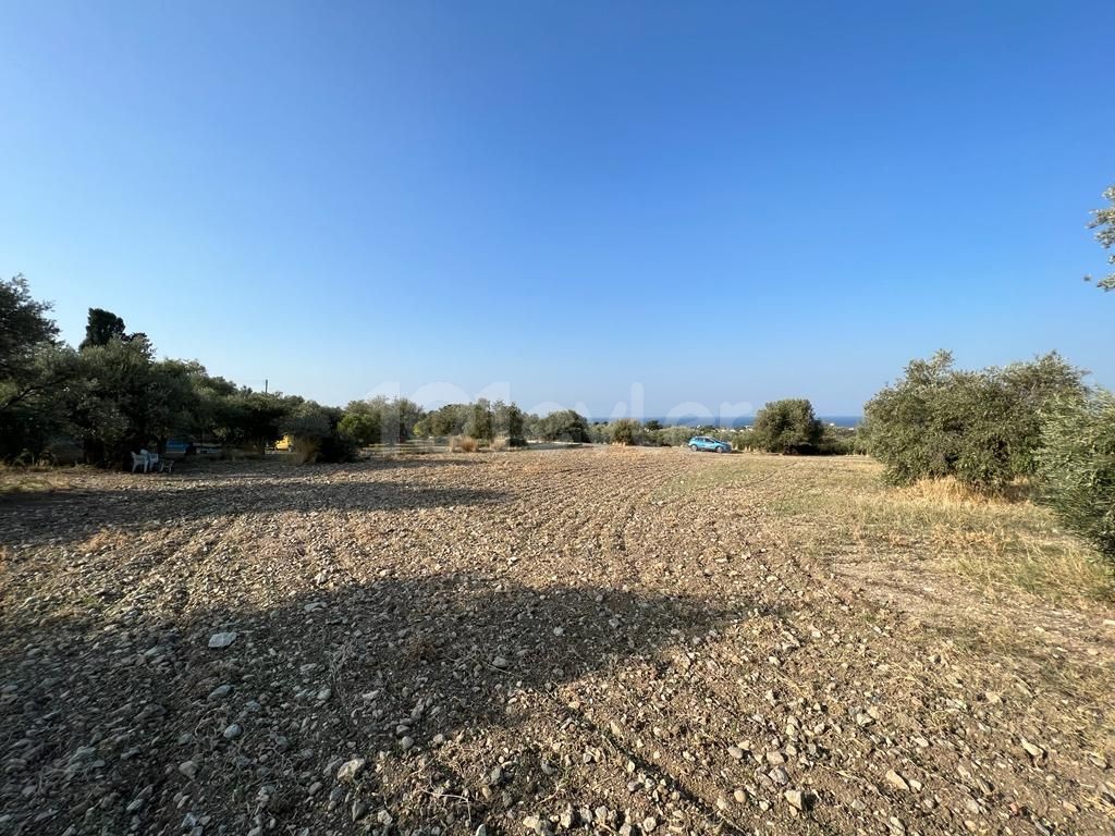 LAND FOR SALE IN KARIYAKA