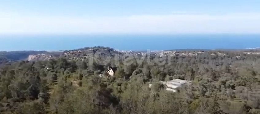 Girne karaağaçta satılık Araziler