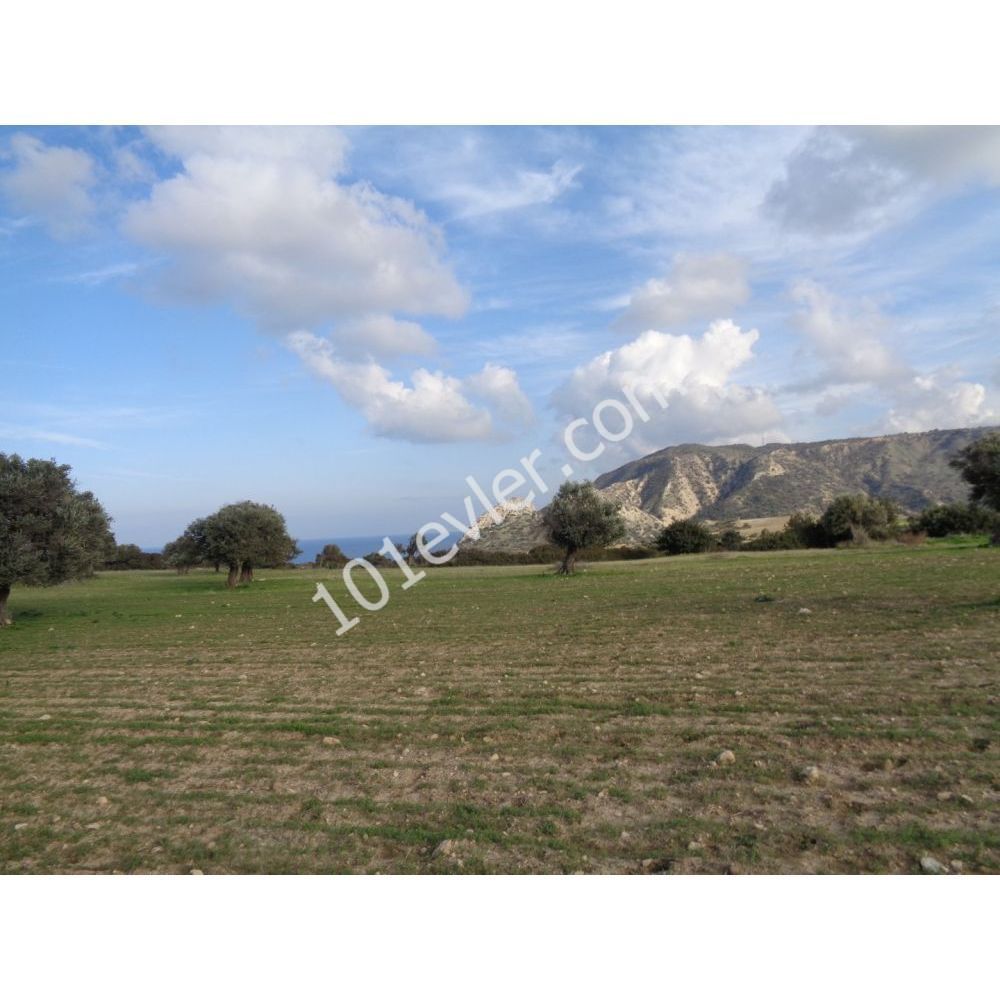 Great Plot With Stunning Views