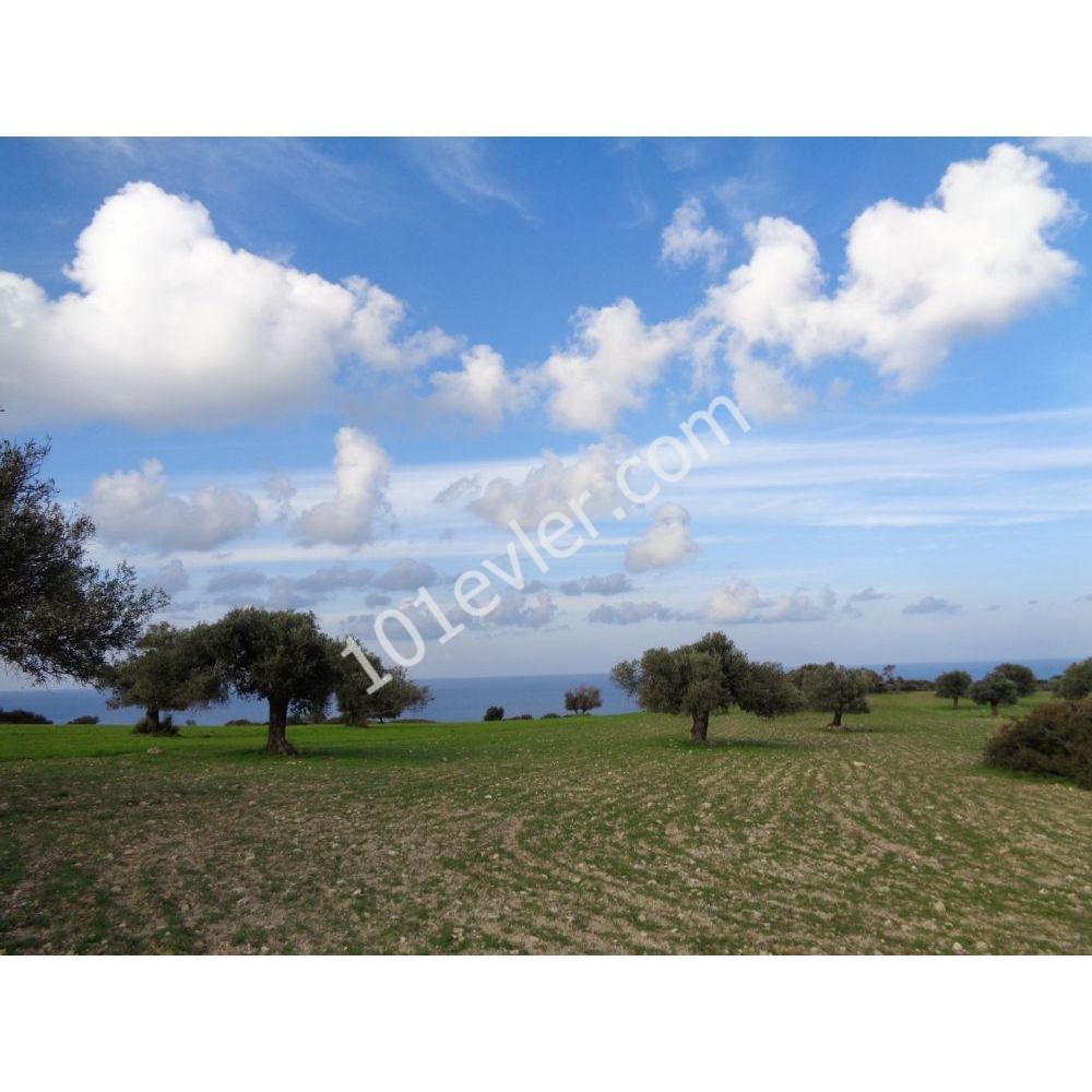 Great Plot With Stunning Views