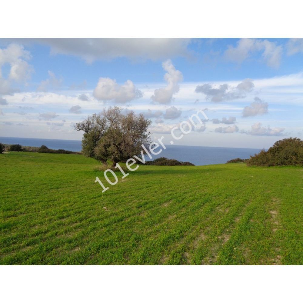 Great Plot With Stunning Views