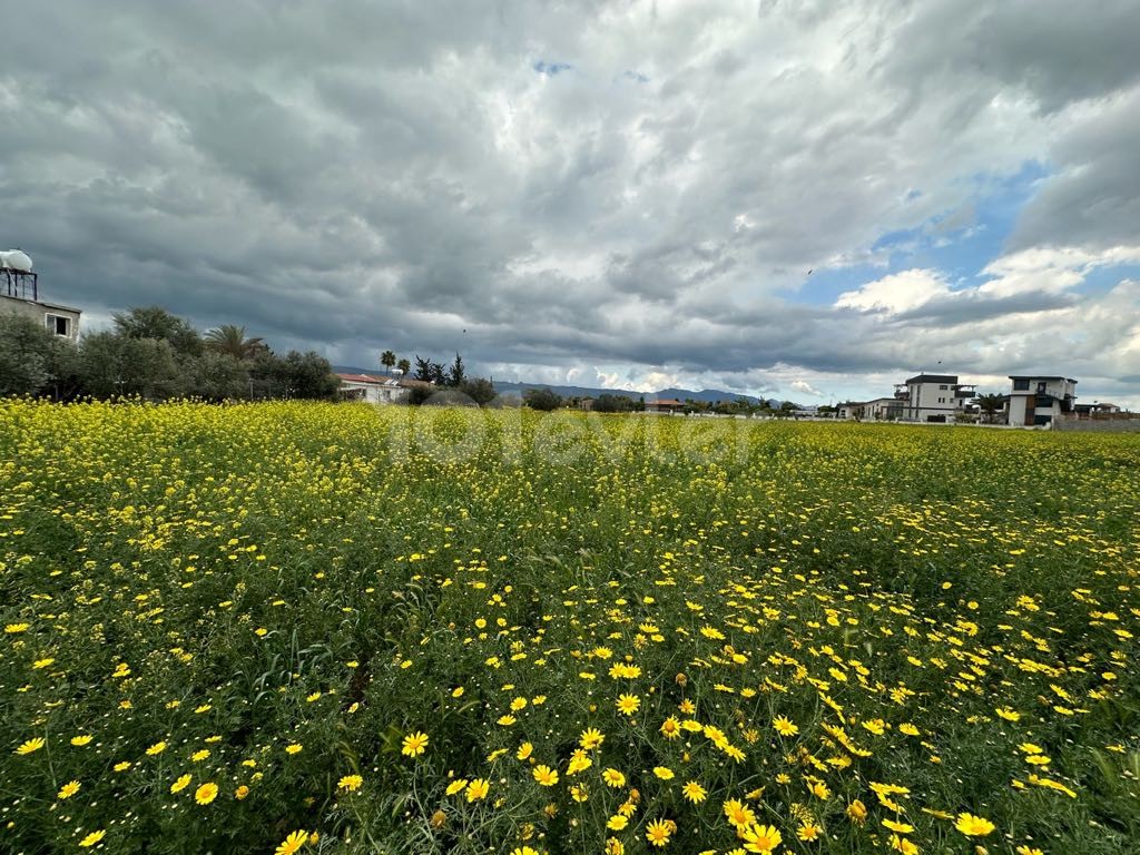 Land for sale in İskele Boğaziçi