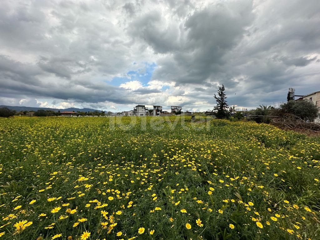 Land for sale in İskele Boğaziçi