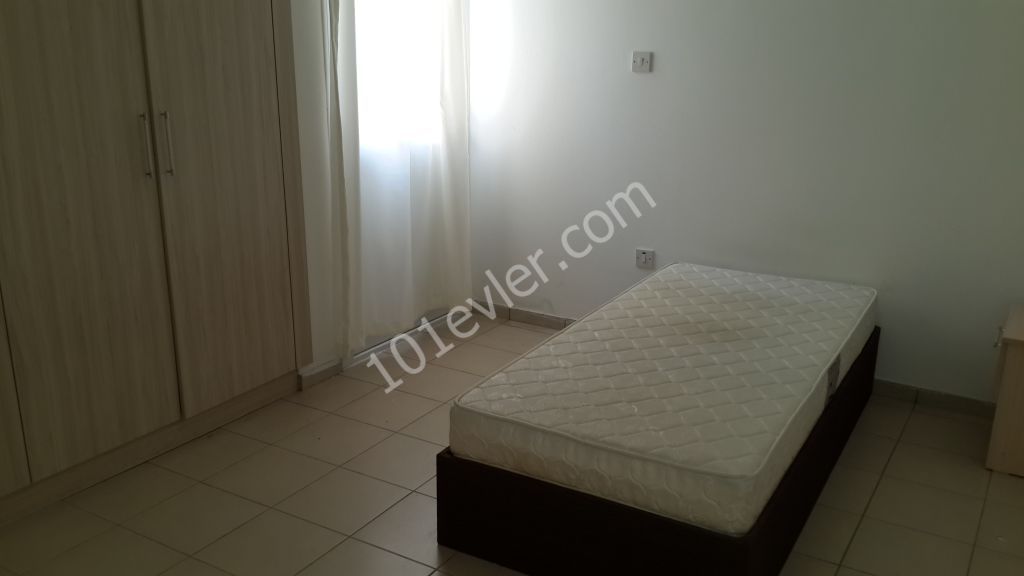 Kar market civarı 3+1 eşyalı daire