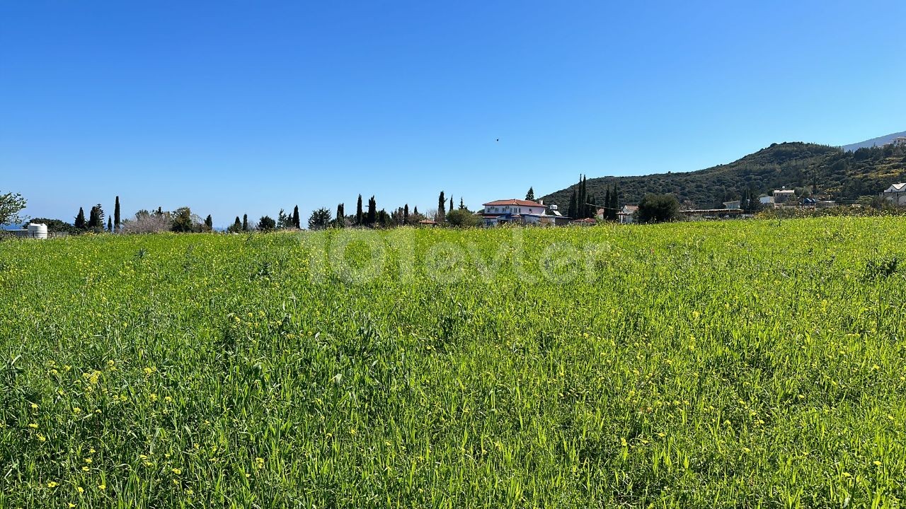 GİRNE ALSANCAK BÖLGESİNDE İMARA AÇIK FULL DENİZ MANZARALI SATILIK ARSA