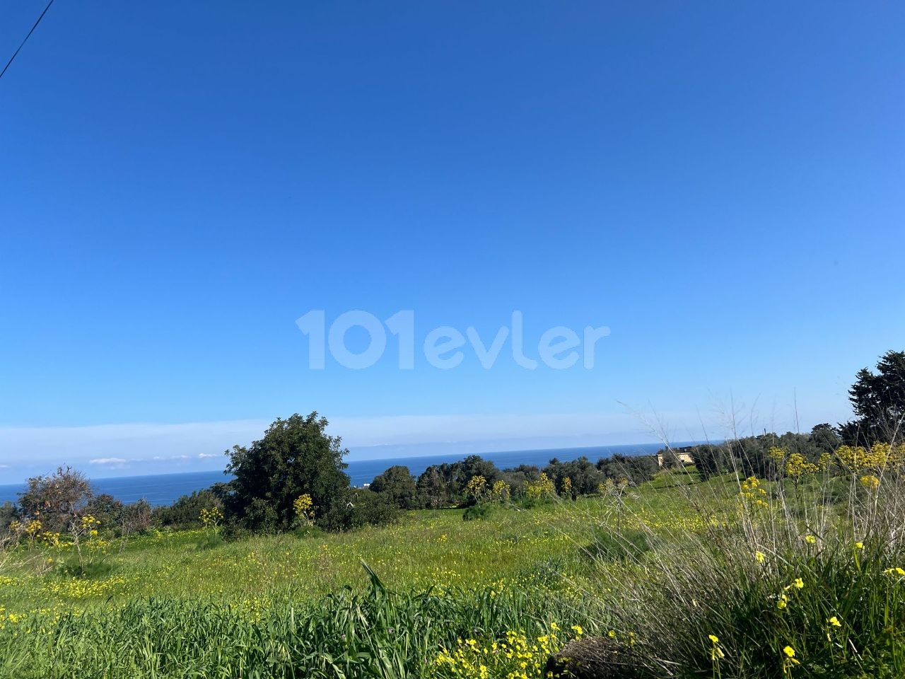 8 DECLARES OF LAND FOR SALE IN İSKELE-SİPAHI