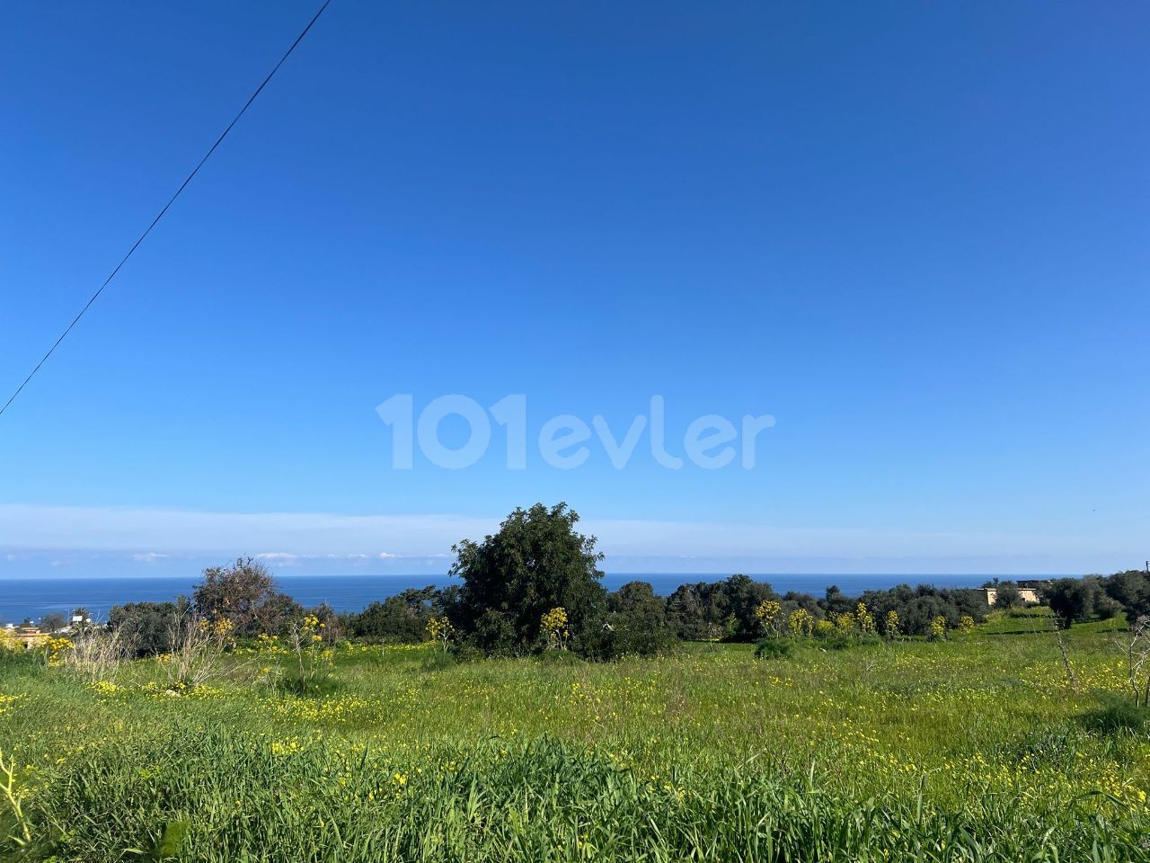 8 DECLARES OF LAND FOR SALE IN İSKELE-SİPAHI