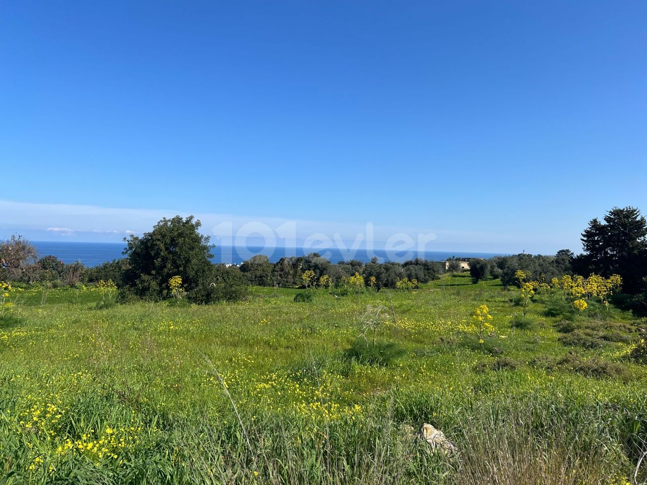 8 DECLARES OF LAND FOR SALE IN İSKELE-SİPAHI