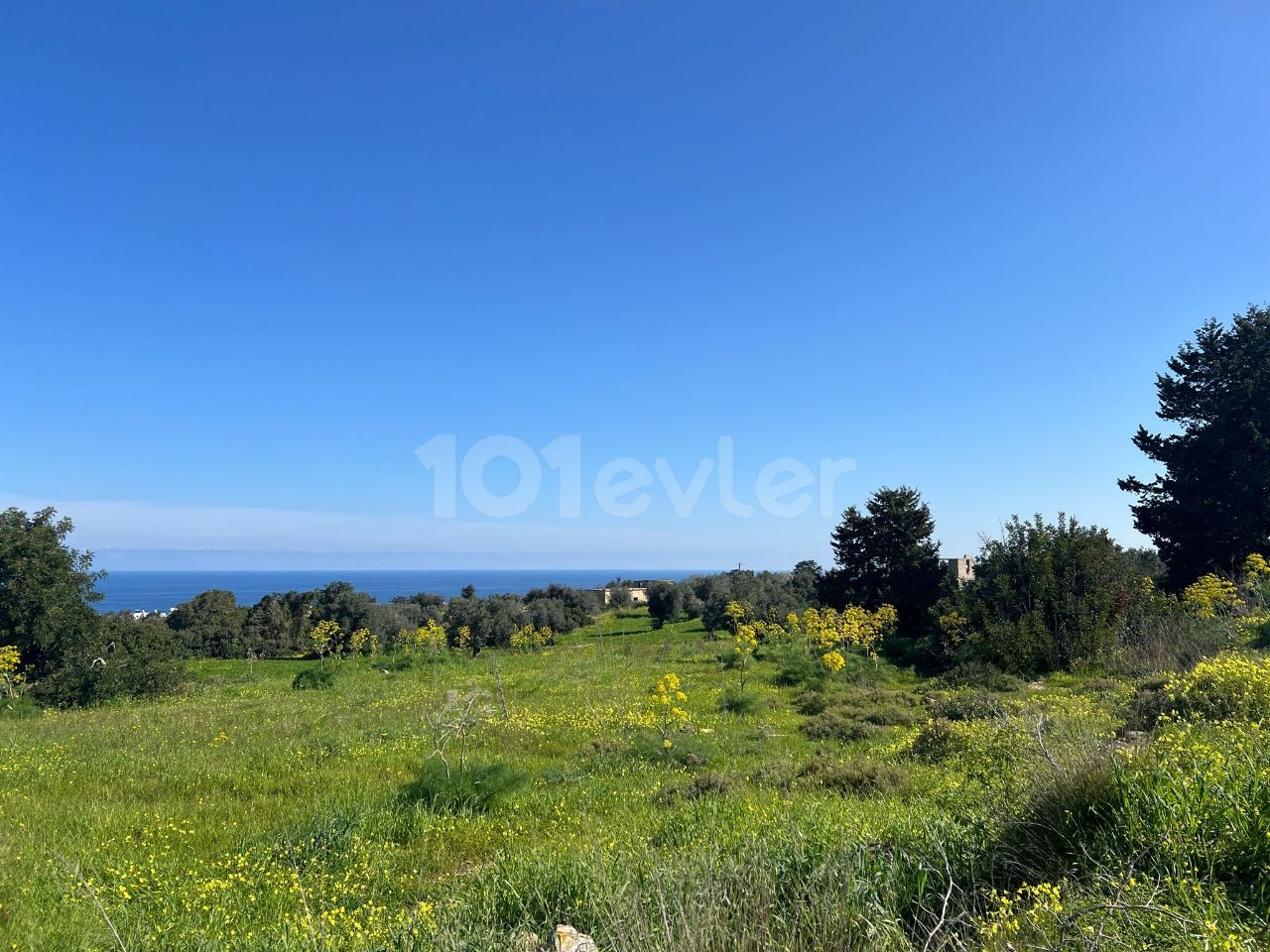 8 DECLARES OF LAND FOR SALE IN İSKELE-SİPAHI