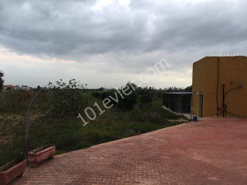 400 M2 VILLA FOR SALE IN FAMAGUSTA ÖTÜKENDE ** 