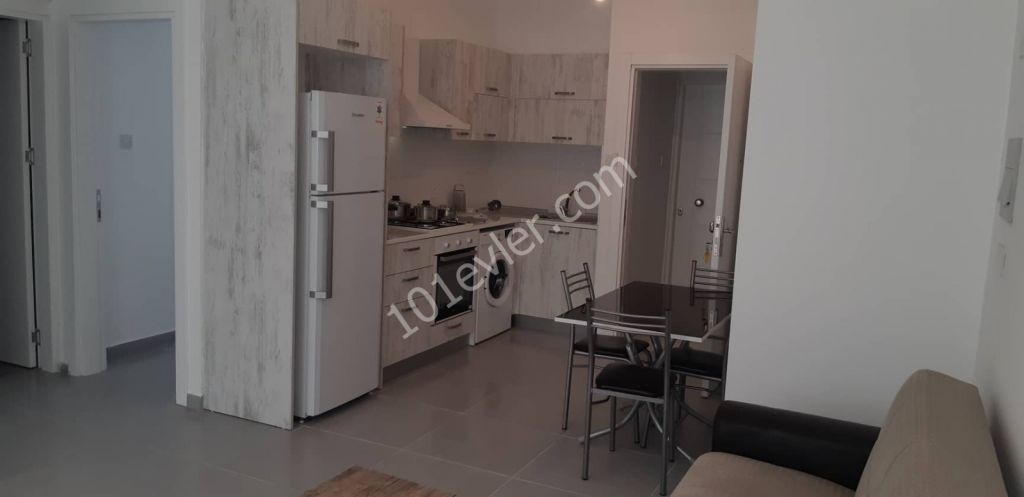 gazimağusa merkezde 2+1 kiralık yeni apartman dairesi Habibe Çetin 05338547005