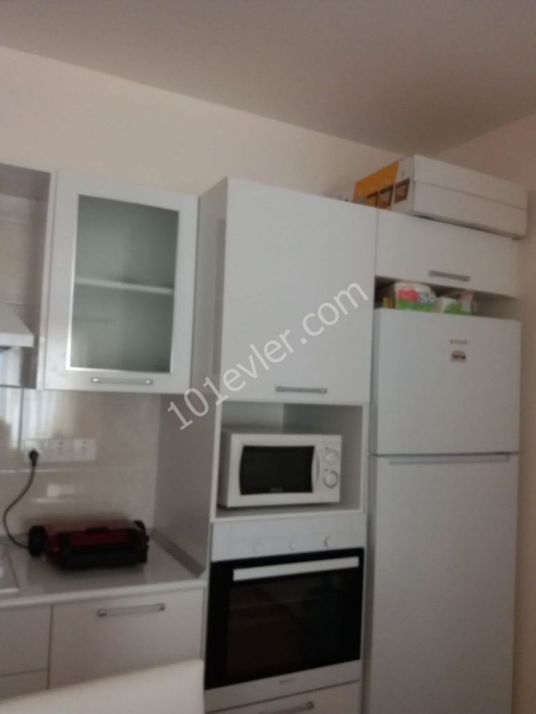 gazimağusa yeniboğaziçinde havuzlu sitede lüks kiralık 2+1 daire