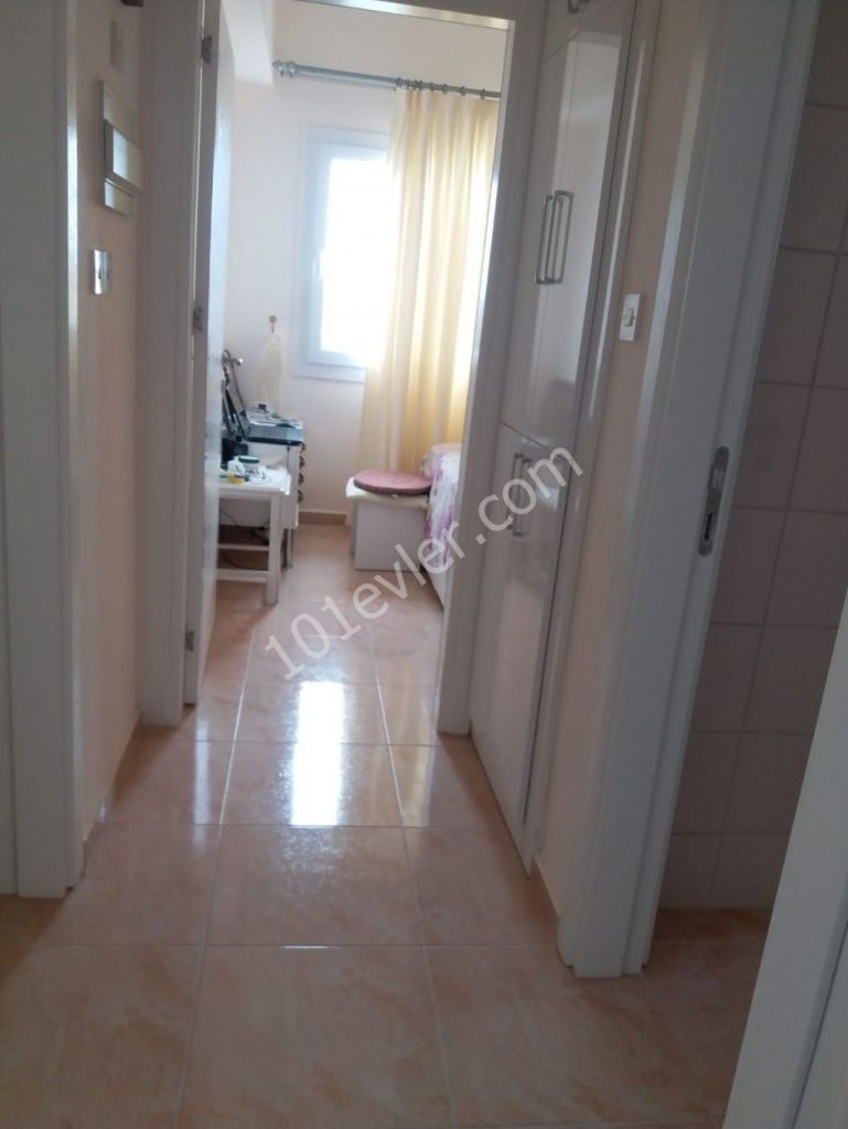 gazimağusa yeniboğaziçinde havuzlu sitede lüks kiralık 2+1 daire