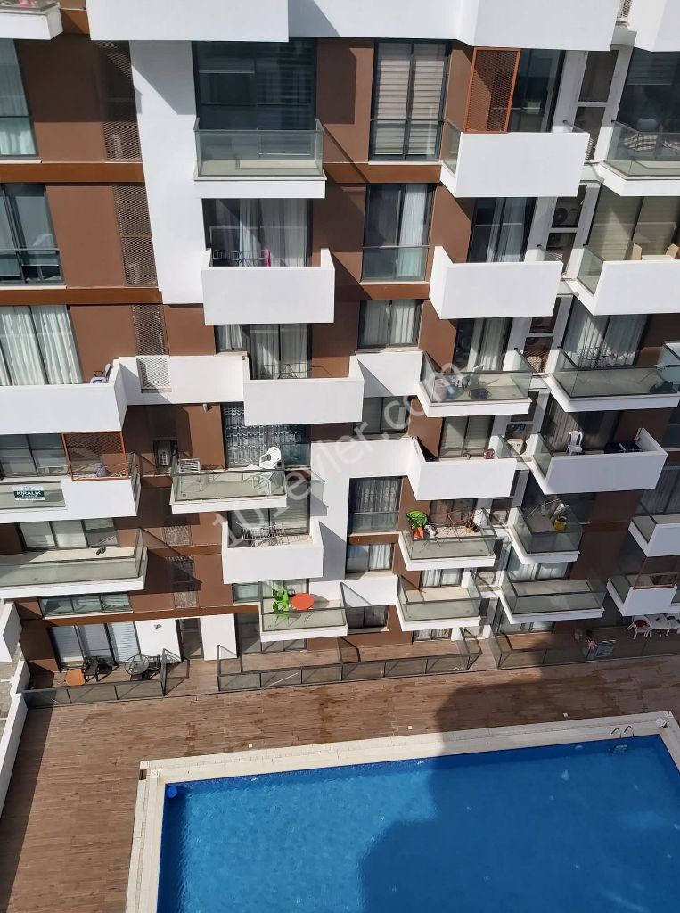 Flat To Rent in Mağusa Merkez, Famagusta