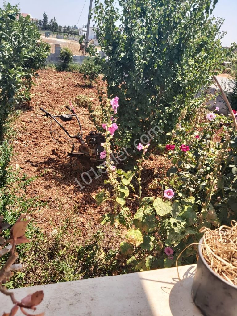 Detached House For Sale in Mormenekşe, Famagusta