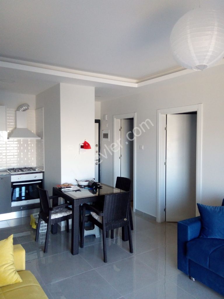 Pier Longbeachte 1+1 Apartment for Sale With All Taxes Paid Habibe Cetin 05338547005 ** 